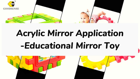 Goodsense Educational Mirror Toy-2024.6.1-封面.jpg